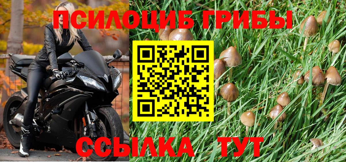 Лесозаводск  Псилоцибиновые грибы прущие грибы  Вход с VPN 